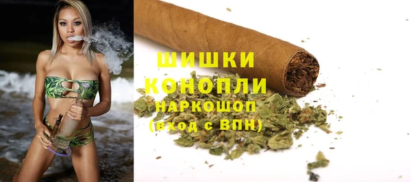 ГАЛЛЮЦИНОГЕННЫЕ ГРИБЫ Уссурийск