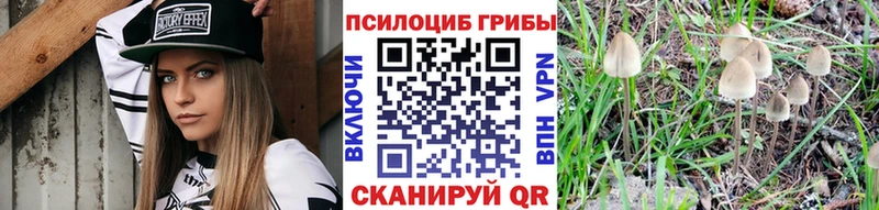 Галлюциногенные грибы MAGIC MUSHROOMS  Ростов-на-Дону 