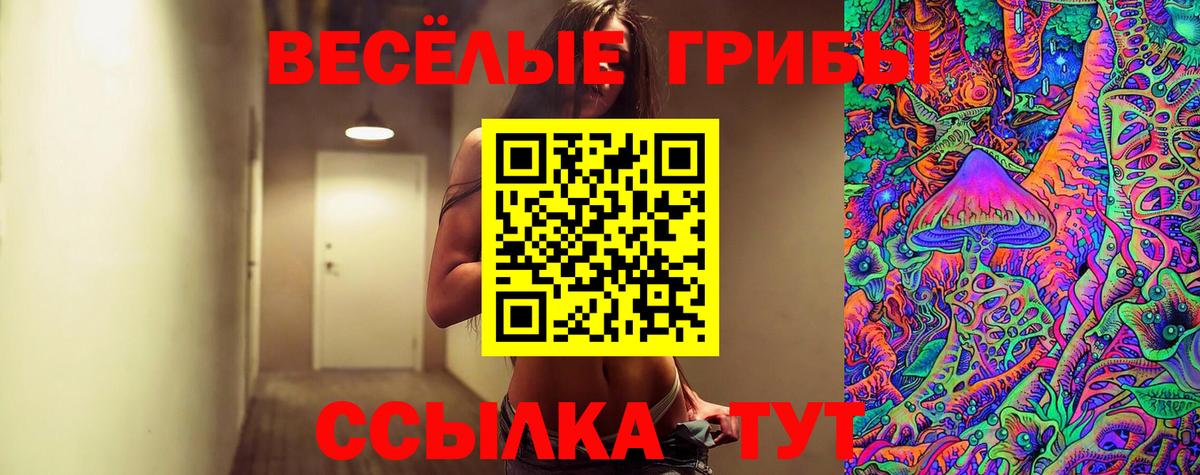Псилоцибиновые грибы ЛСД Ростов-на-Дону