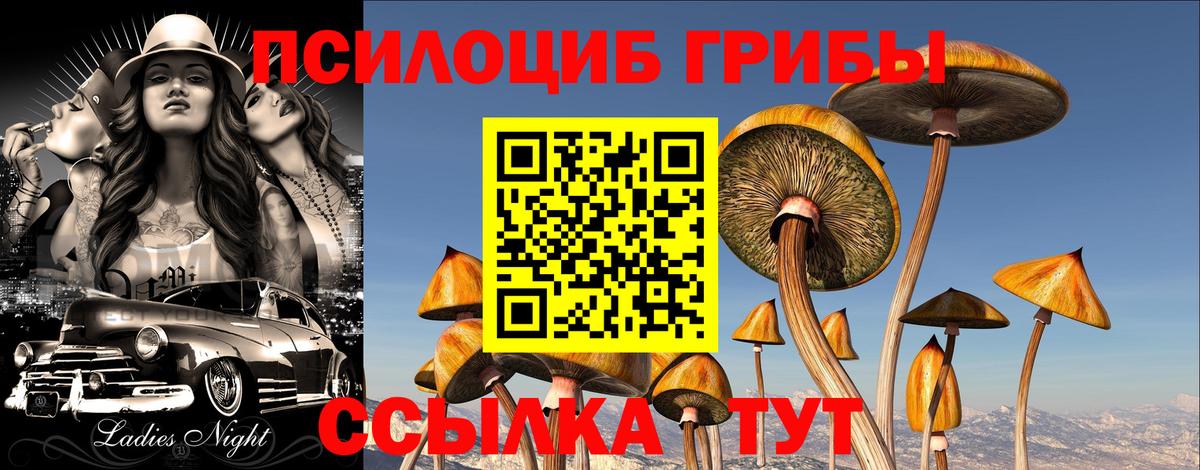 Галлюциногенные грибы Psilocybine cubensis  где купить наркоту  Вход с VPN  Ростов-на-Дону  Псилоцибиновые грибы Cubensis 